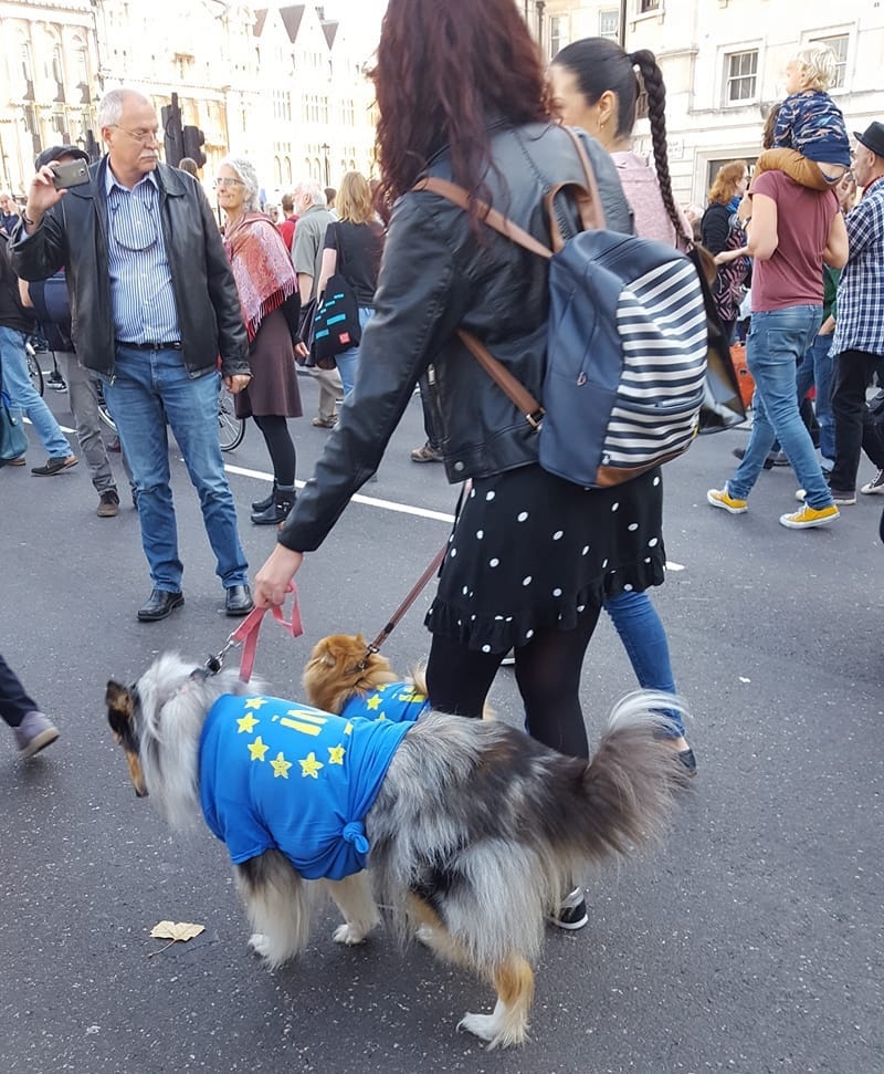 Protestas prieš Brexit Londone. Jūratės Slabadienės foto.
