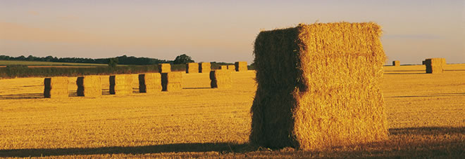 www.sandringhamestate.co.uk