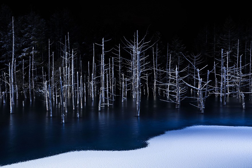Hiroshi Tanita, Japan, Winner, Open Competition, Nature, 2017 Sony World Photography Awards.