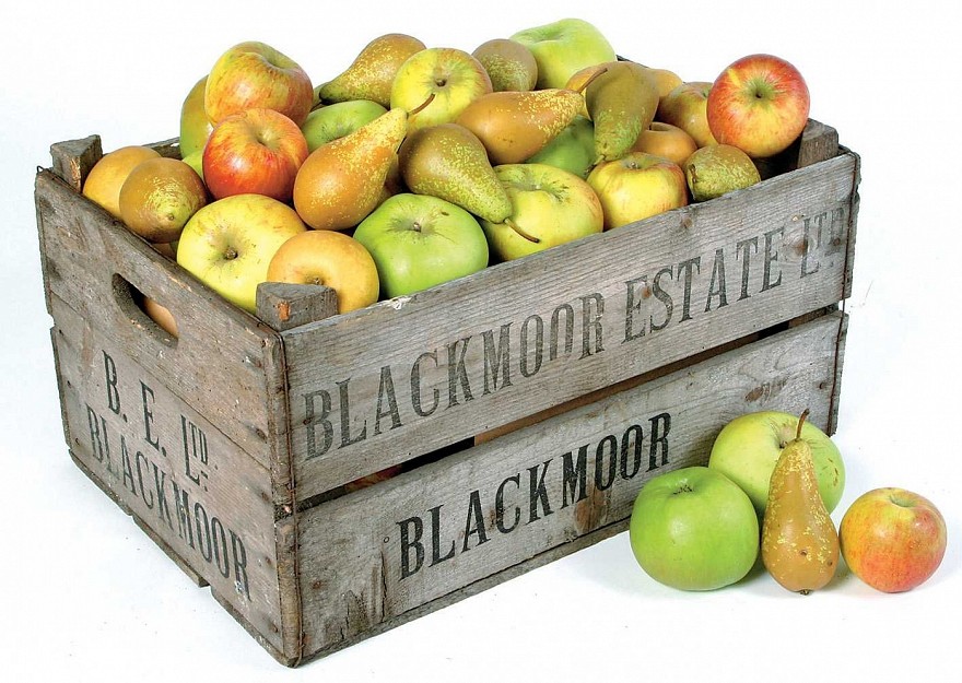www.blackmoorestate.co.uk
