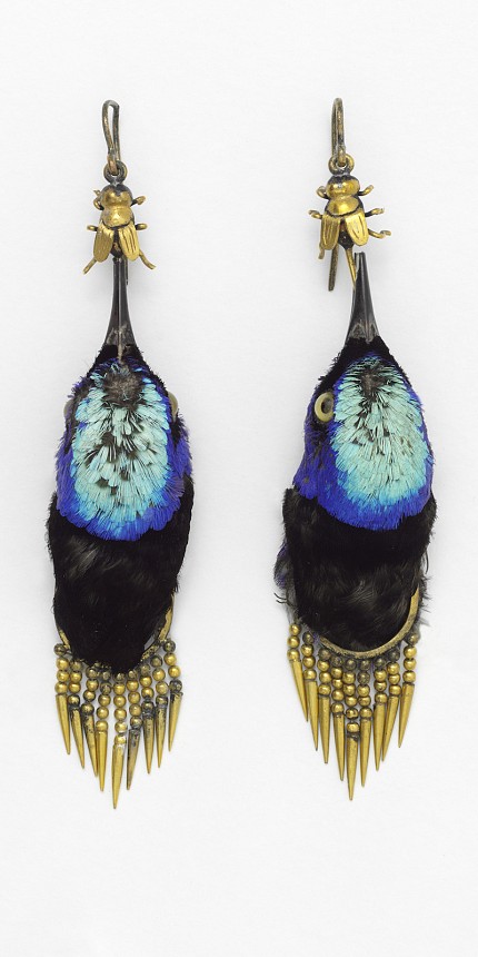 Auskarai, pagaminti iš žvirblinių būrio paukščio Havajų gėlinukės (Honeycreeper) galvų 1875-aisias buvo itin populiarūs ir gaminami masiškai.